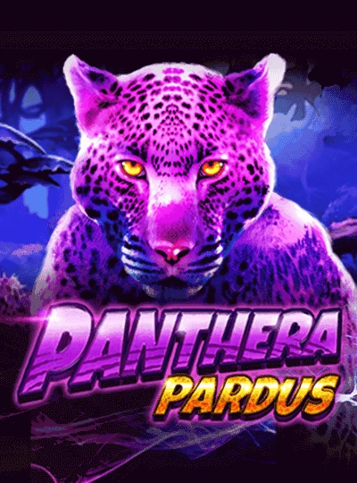 Provably fair crash game cover